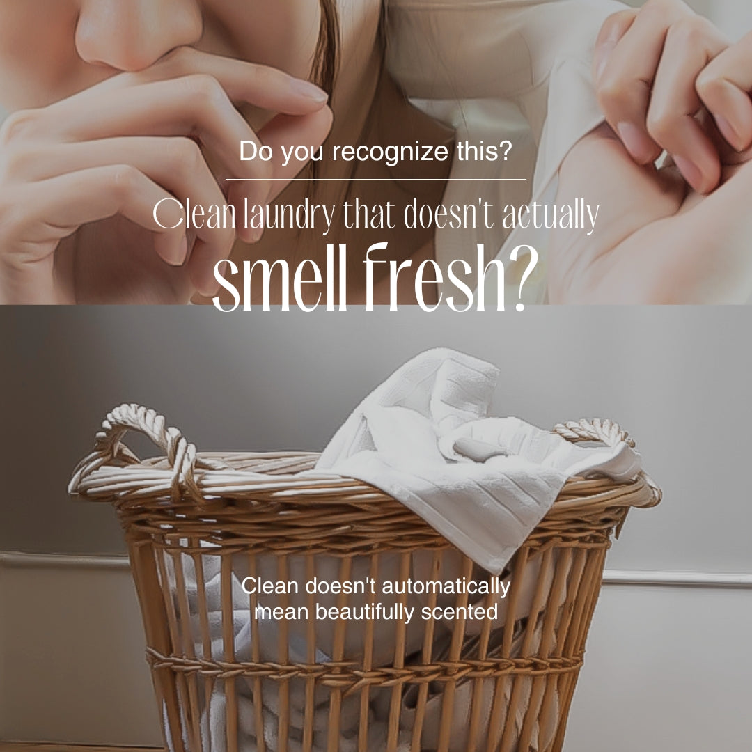 Lavayette Laundry Perfume Sample Pack