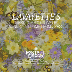 Test case Fontaine De Paix 5 x 25ml