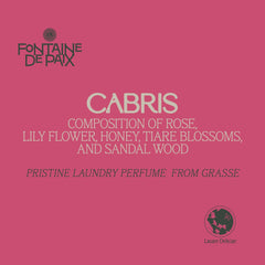 Test case Fontaine De Paix 5 x 25ml