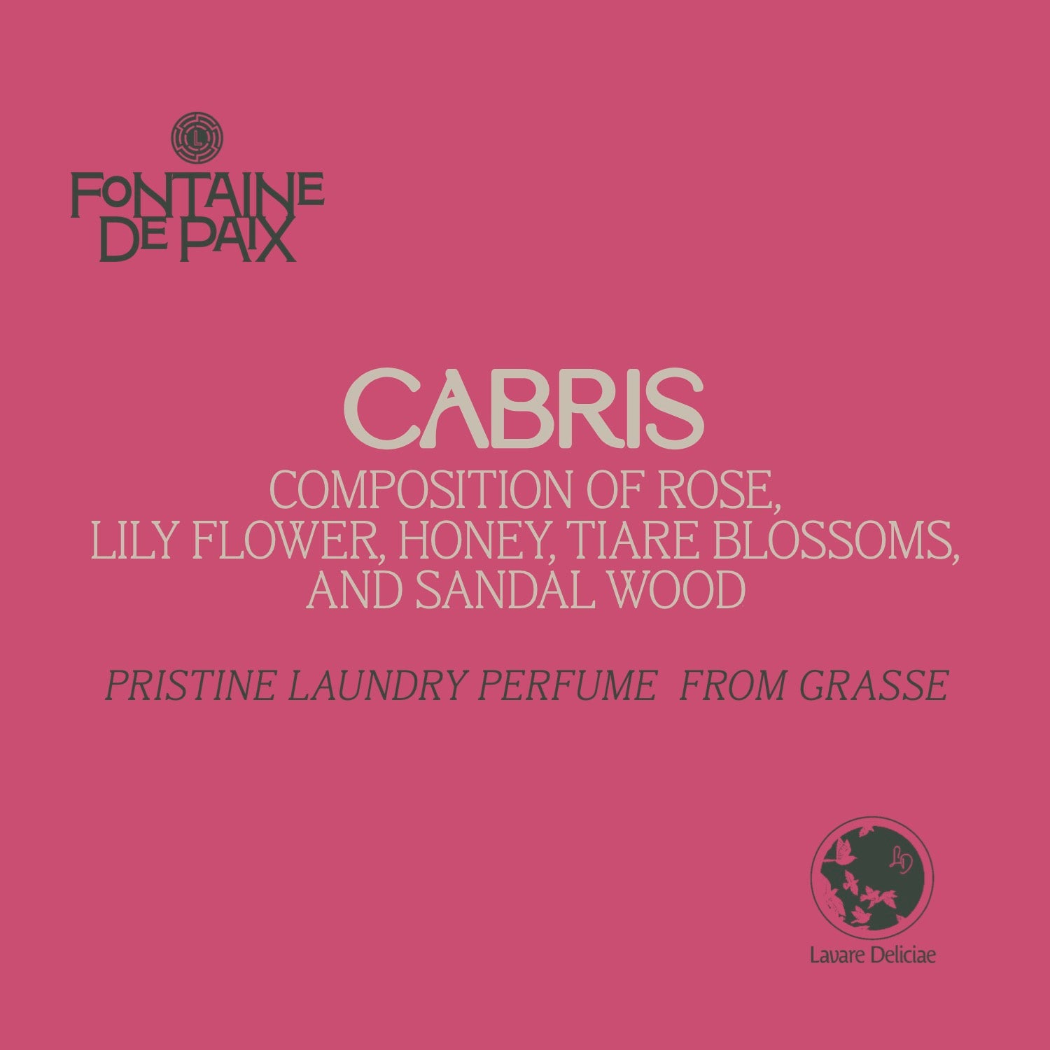 Test case Fontaine De Paix 5 x 25ml