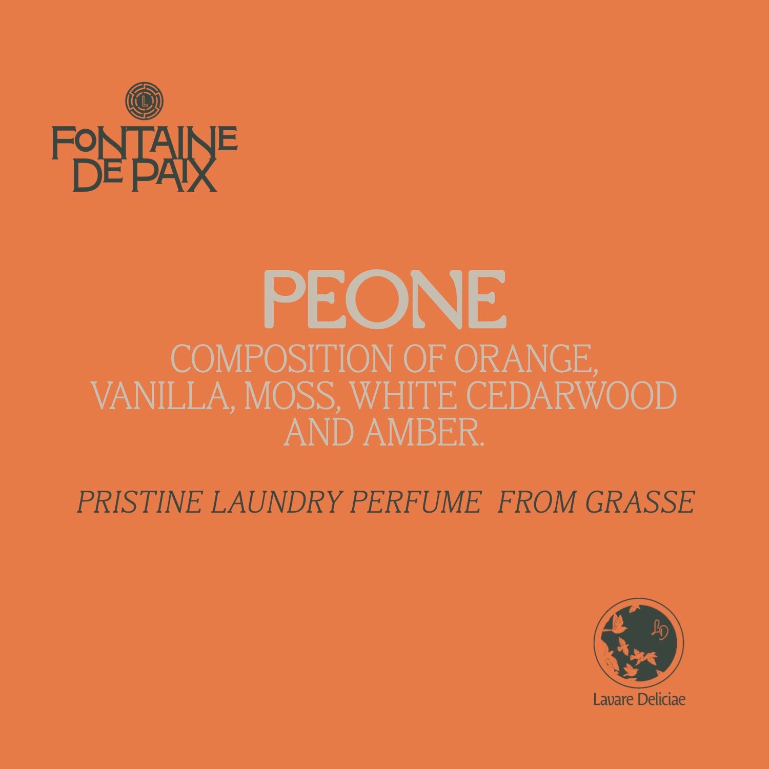 Test case Fontaine De Paix 5 x 25ml