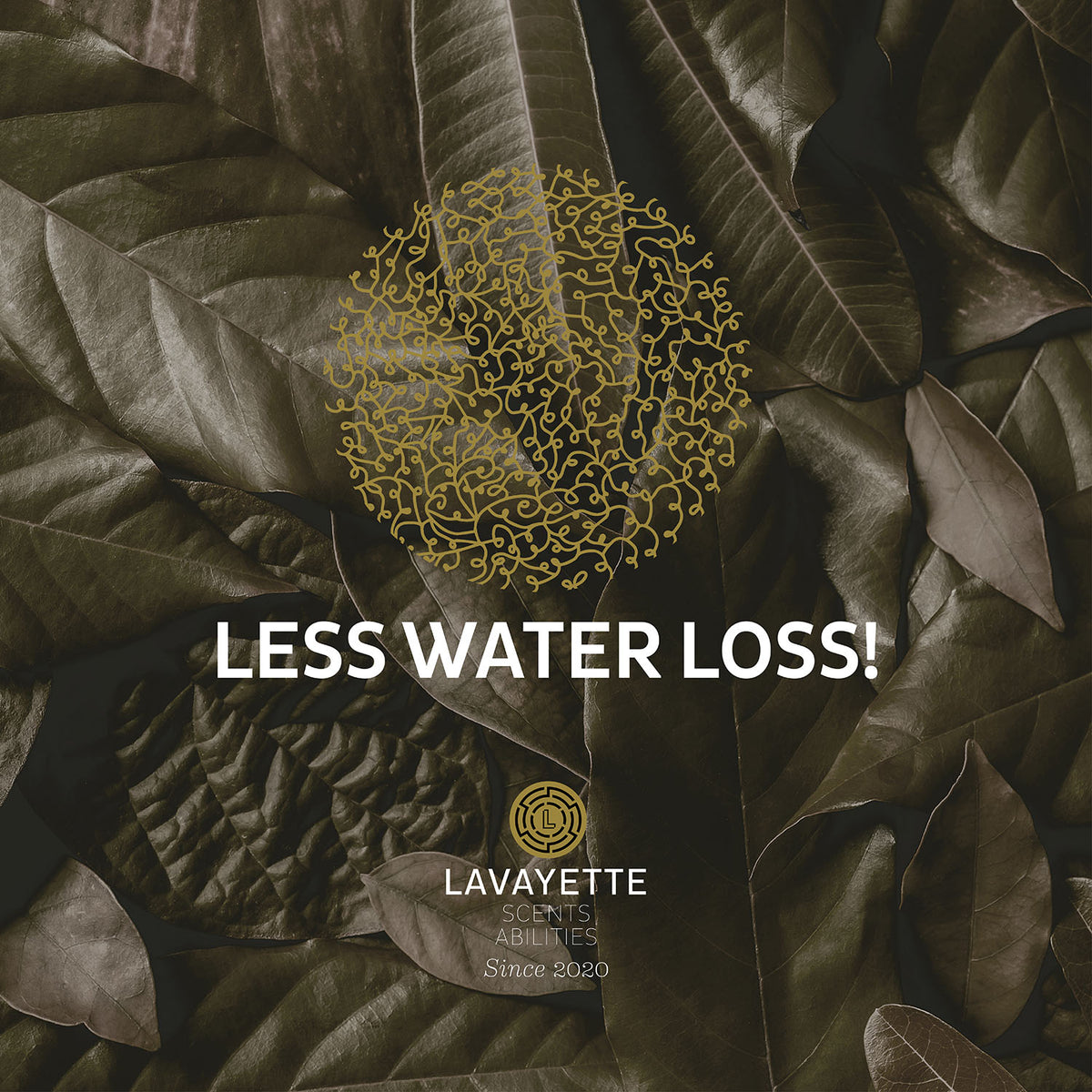 Lavayette XL wollen drogerballen 6st. - Lavayette